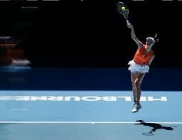 王建民在 2006 年对阵老虎投出完封胜，赛后接受全场球迷的热烈欢呼